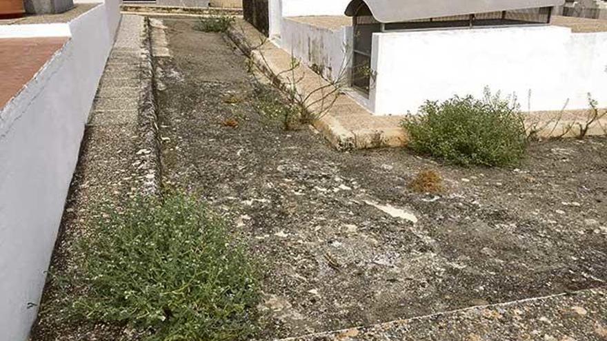 Imagen que, según el PP, demuestra el abandono del cementerio municipal de Sineu.