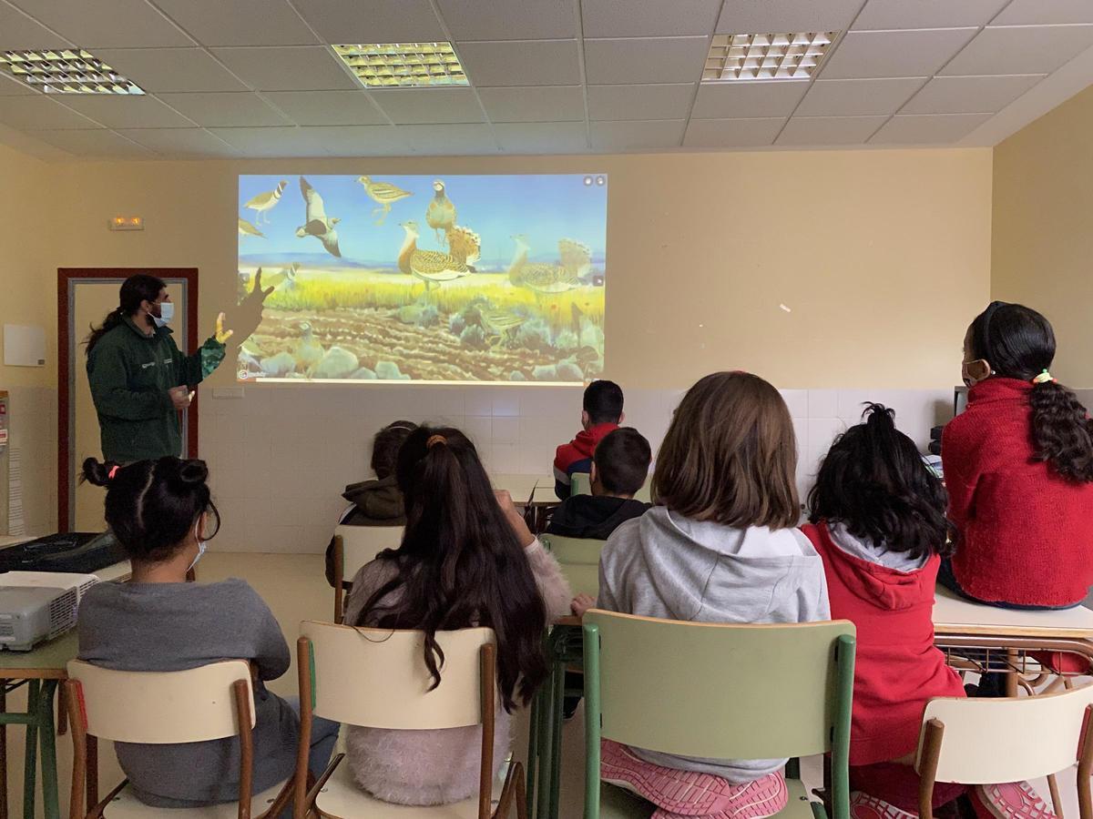 Alumnos de Bello durante un taller sobre naturaleza.