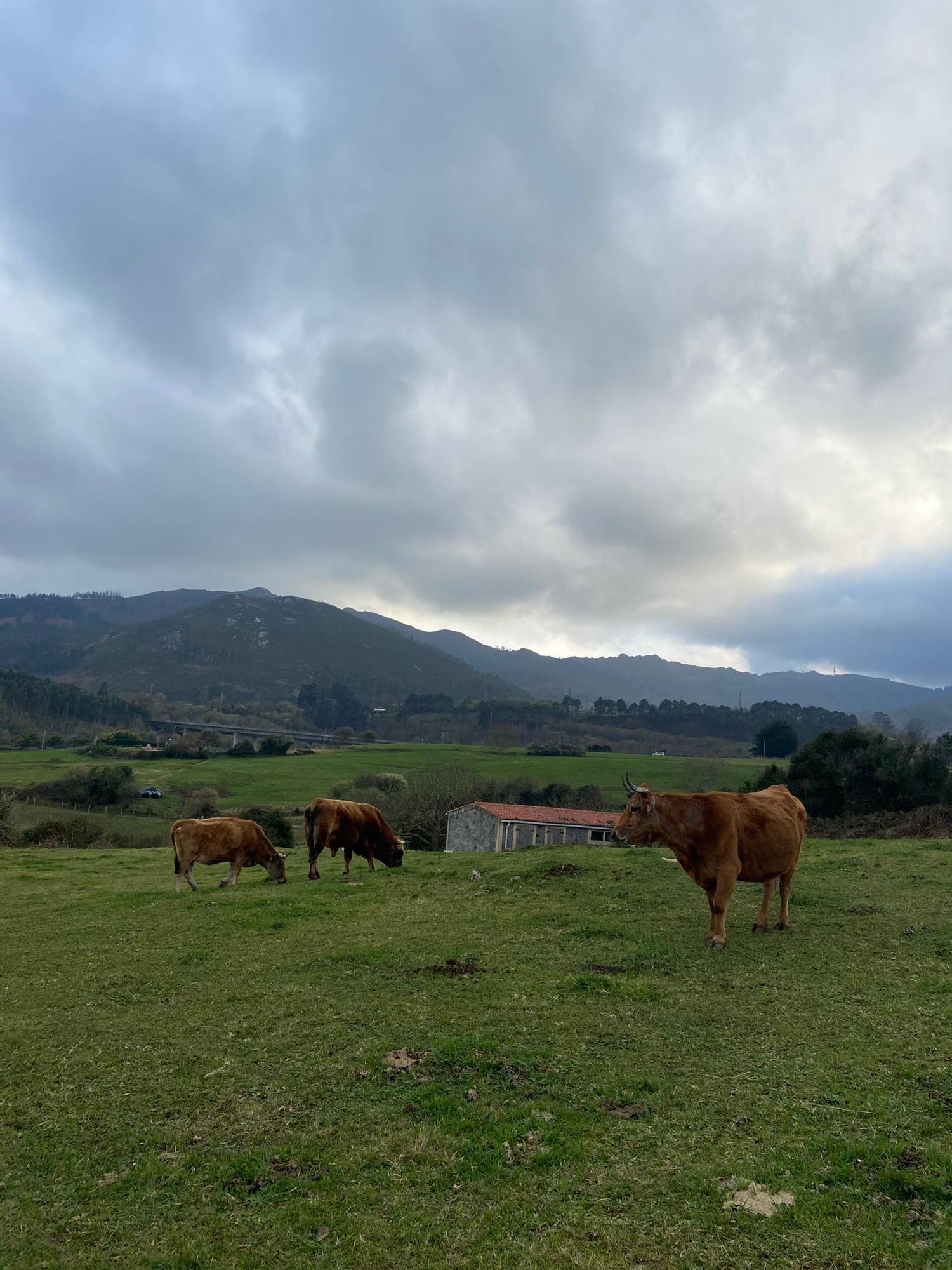 En ruta: del Arenal de Morís a La Griega