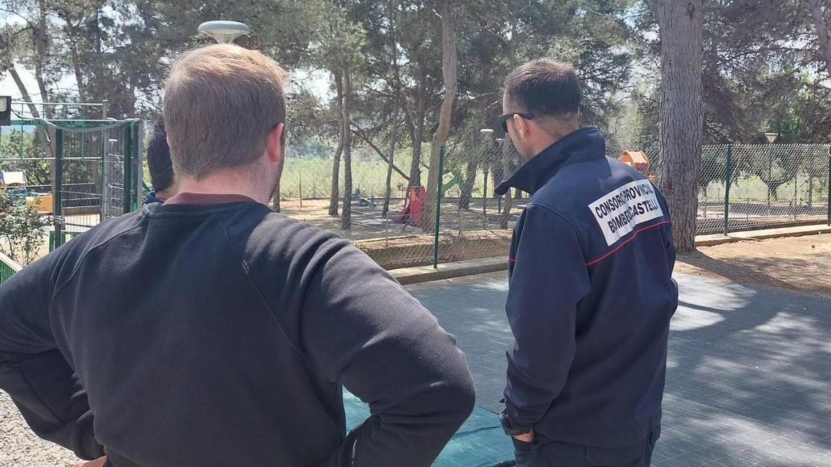 Técnicos inspeccionaron la situación de los pinos del camping de Altura.