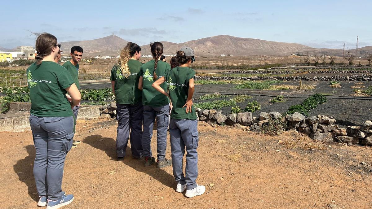 Finca en el Centro de Biodiversidad Agrícola de Lanzarote.
