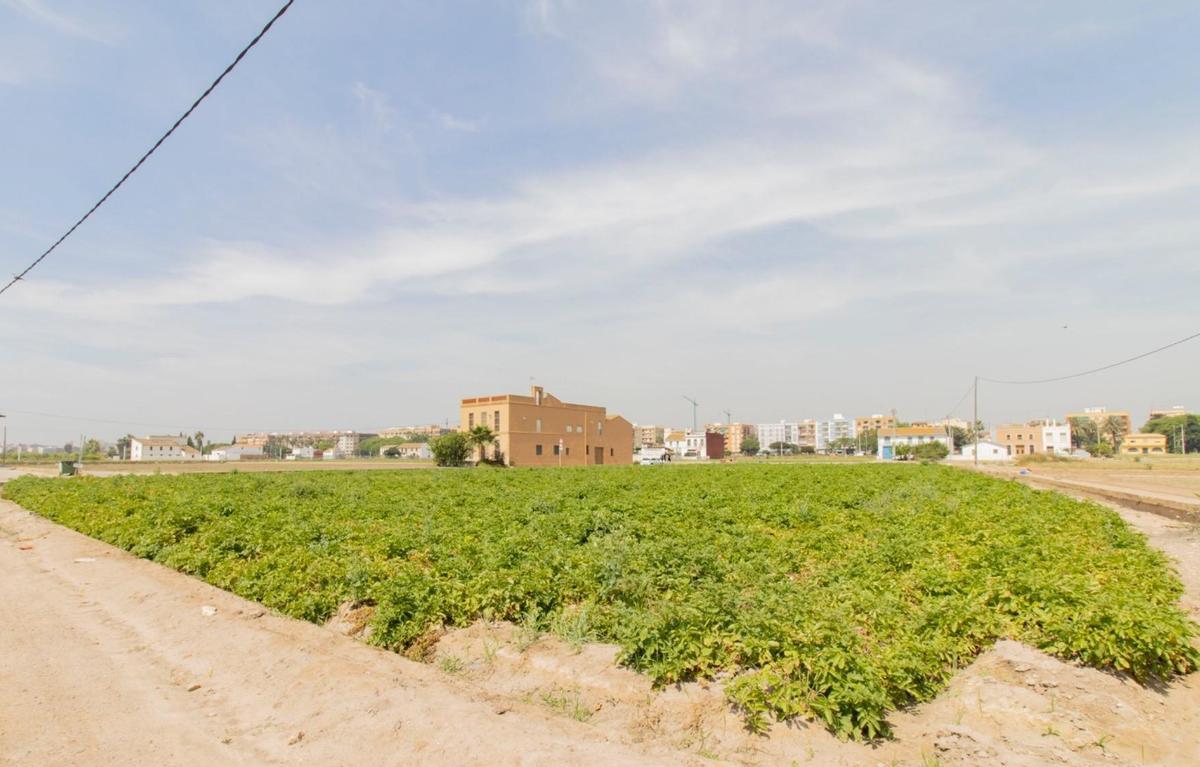 El entorno donde se ubica la vivienda.
