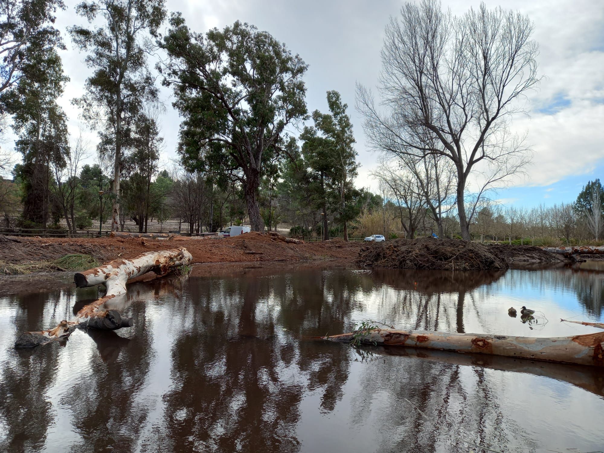 El humedal del Parc de Sant Vicent de Llíria llevaba más de medio siglo sepultado y ahora es un hábitat de la flora y fauna local