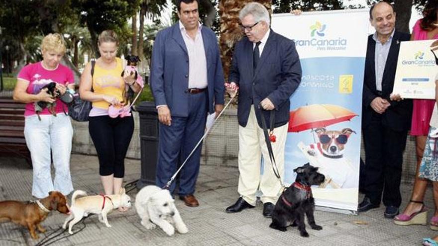 El presidente del Cabildo, Bravo de Laguna, en el centro, junto a Melchor Camón en el parque de San Telmo, ayer. | acfi press