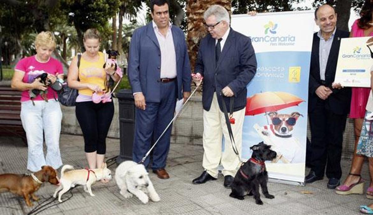 El presidente del Cabildo, Bravo de Laguna, en el centro, junto a Melchor Camón en el parque de San Telmo, ayer. | acfi press