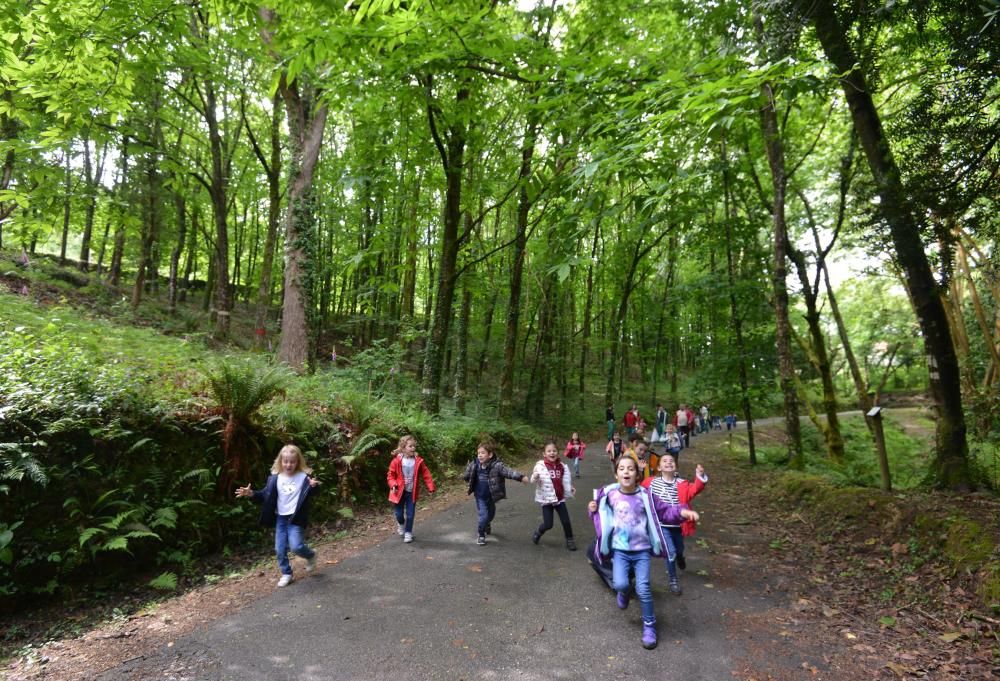 El Jardín Botánico de Lourizán, un pulmón verde