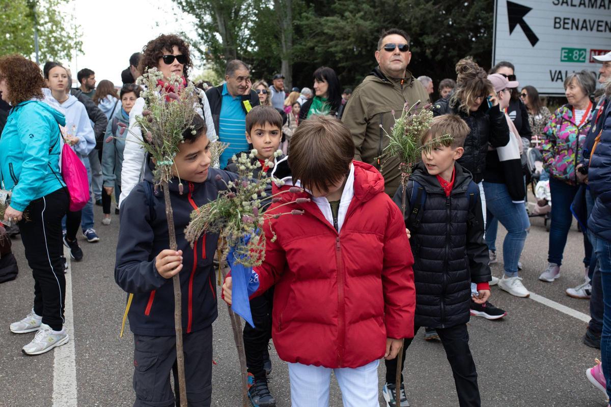 GALERÍA | La romería de La Hiniesta, en imágenes