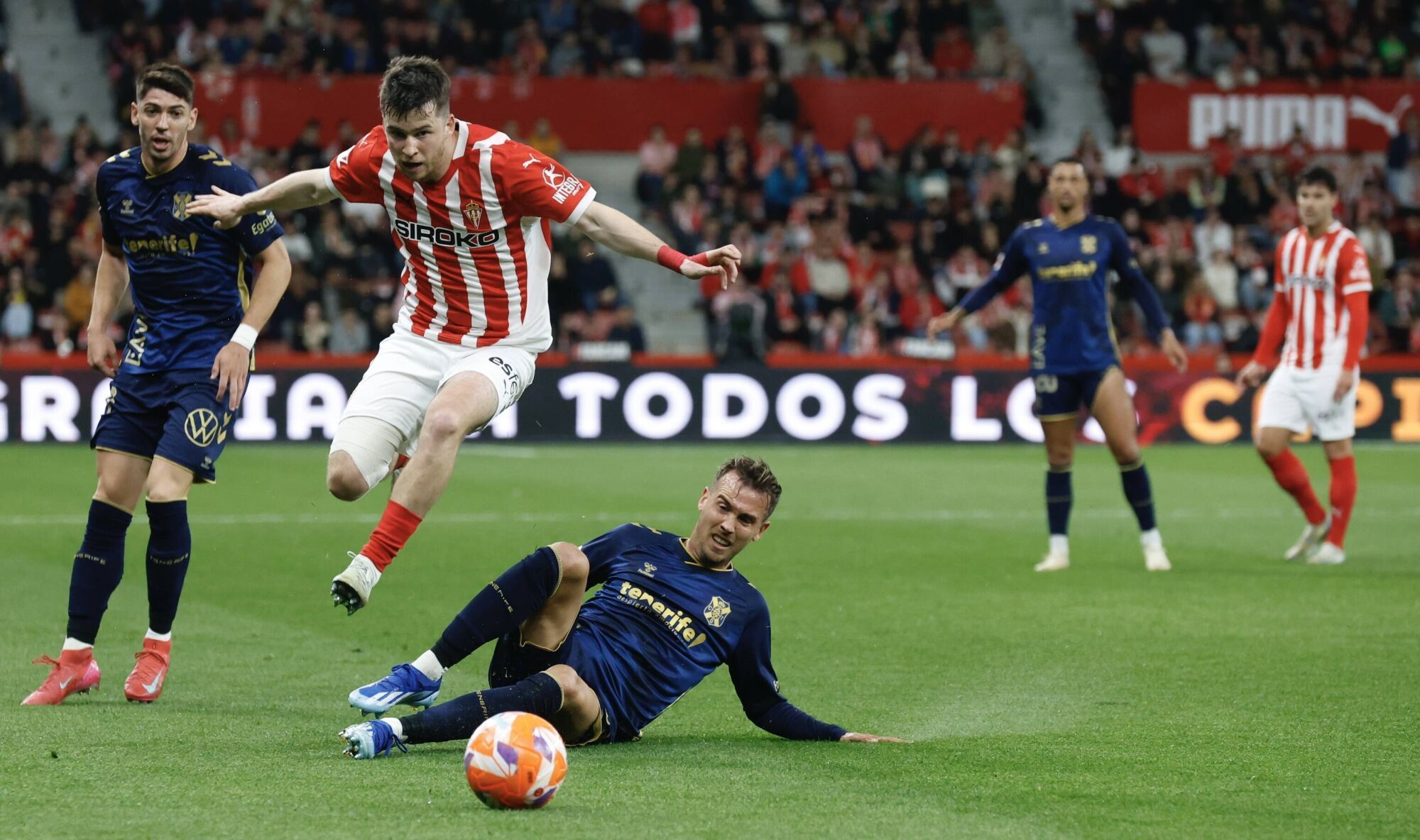 EN IMÁGENES: El Sporting - Tenerife disputado en El Molinón