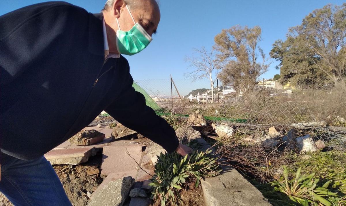 Adolfo García, hace justo un año, examina la nueva especie, dañada tras un temporal. | A.V.
