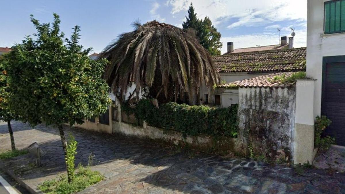 Parte trasera de la vivienda conocida como 'La casa de la palmera' en la que este jueves ha aparecido muerto un hombre por una posible sobredosis