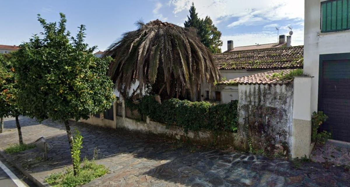 Parte trasera de la vivienda conocida como 'La casa de la palmera' en la que este jueves ha aparecido muerto un hombre por una posible sobredosis