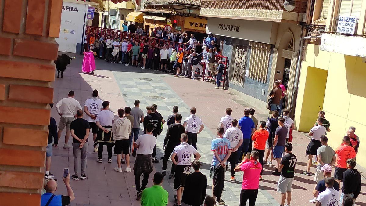 GALERÍA: El toro del cajón de La Reata, de las fiestas de Benavente, en imágenes