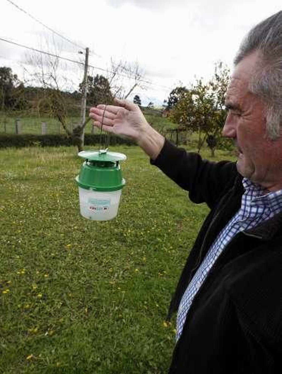 Más de 200 trampas de polilla de la patata detectarán si la plaga se frena este verano