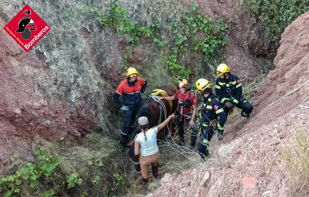 Una yegua voladora en Pinoso