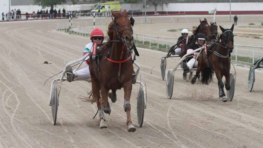 Bob d&#039;Udon, con Jeroni Fuster, en su remate triunfal para ganar la especial para nacionales de la diada de Manacor.