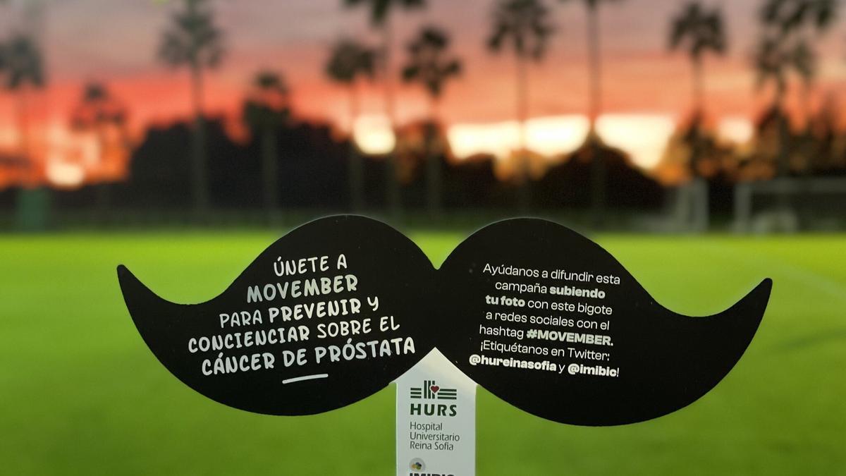 Bigote utilizado para la campaña contra el cáncer de próstata.