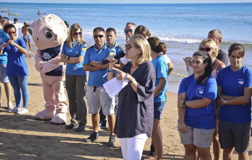 Ocenanogràfic, Acuario de Sevilla, y el Ayuntamiento de Torrevieja organizaron una suelta de 6 tortugas jóvenes procedente de un nido de las playas de Sueca (Valencia) con la participación de escolare