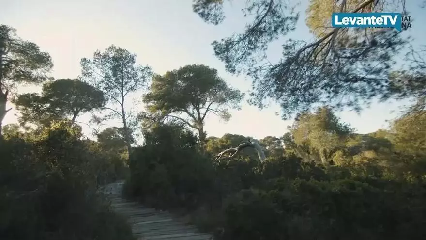 València activa los cañones de agua de la Devesa ante el riesgo de incendios