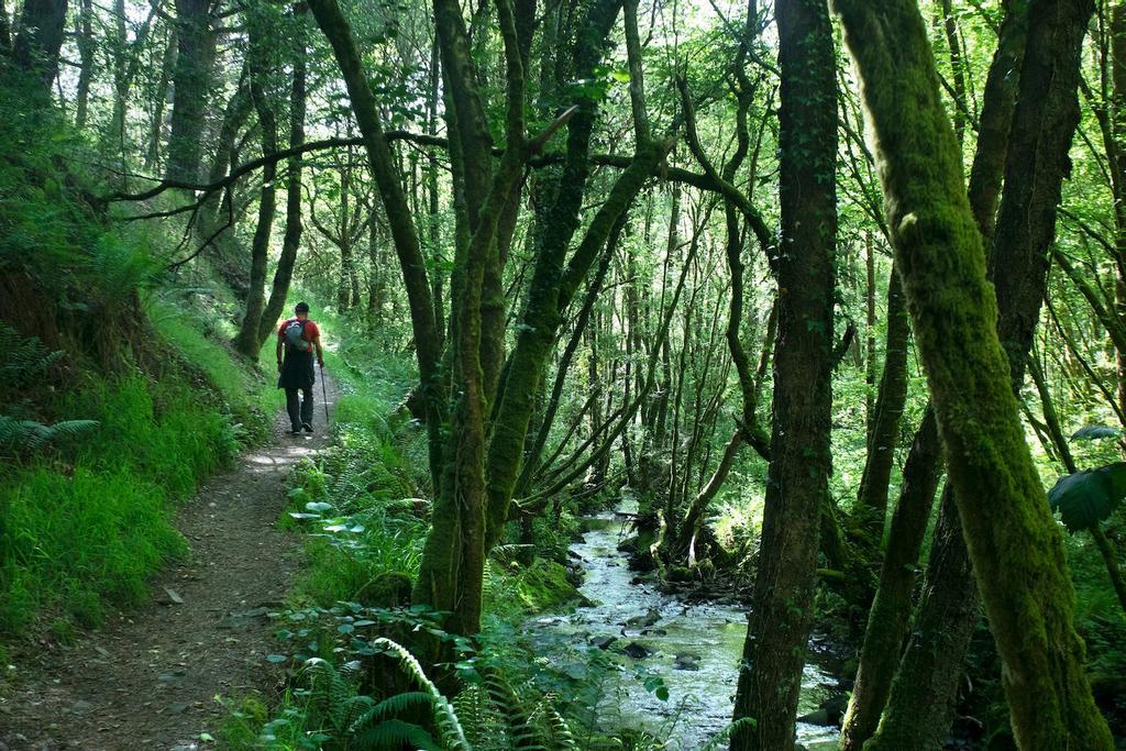 Ruta a la cascada de Seimeira, en Los Oscos.