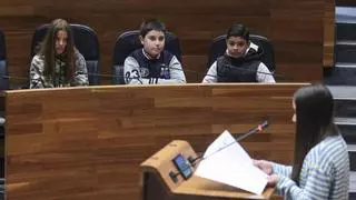 Medio centenar de alumnos del Occidente debaten en la Junta sobre los problemas del medio rural: "Invertir en los pueblos es invertir en el futuro"