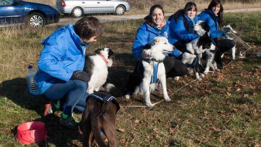 Día de perros en La Fresneda - La Nueva España