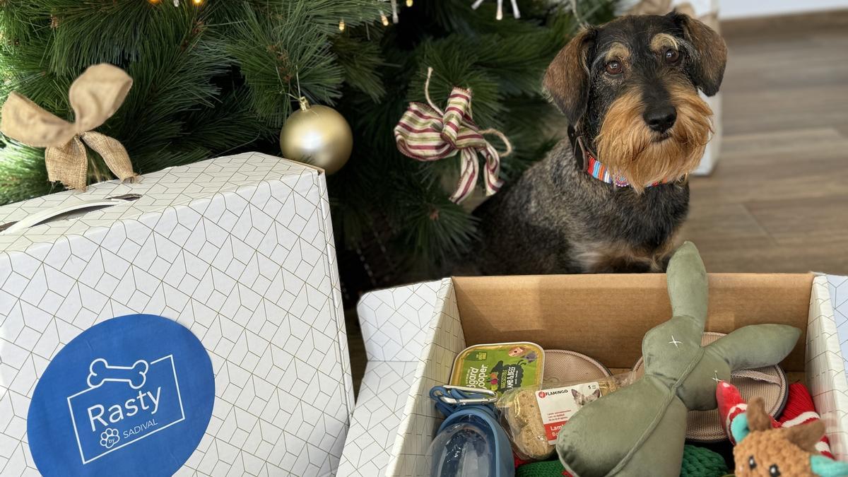 Cestas de navidad para perros y otros regalos adorables para las mascotas de la casa