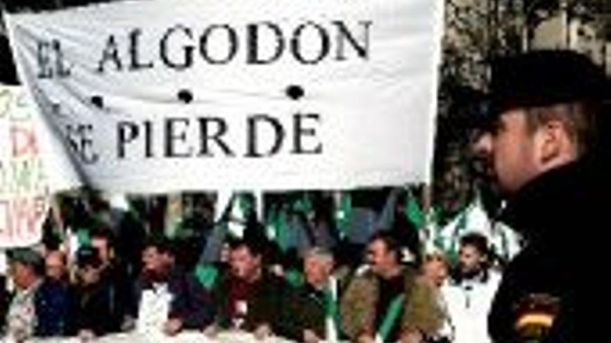 DIEZ MIL ALGODONEROS PROTESTAN ANTE EL MINISTERIO