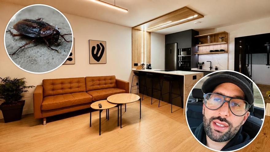 Un influencer denuncia una villa turística con más de 400 cucarachas en Canarias