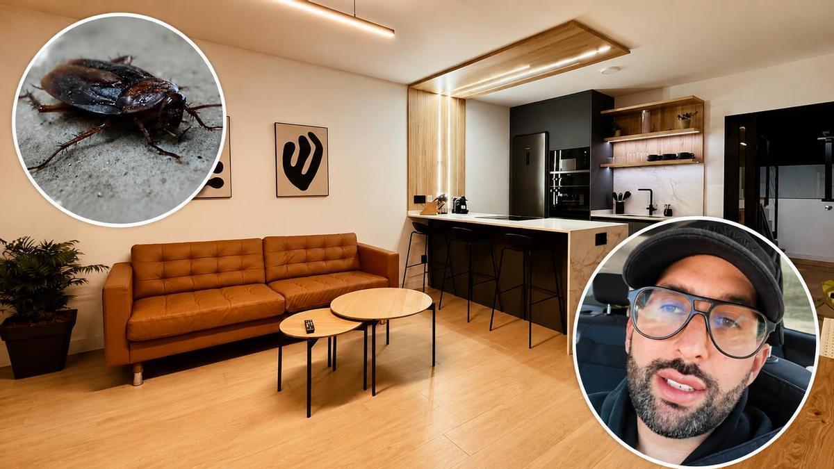 La desagradable sorpresa de Andony Artiles en una villa de Gran Canaria: “Había más de 400 cucarachas”