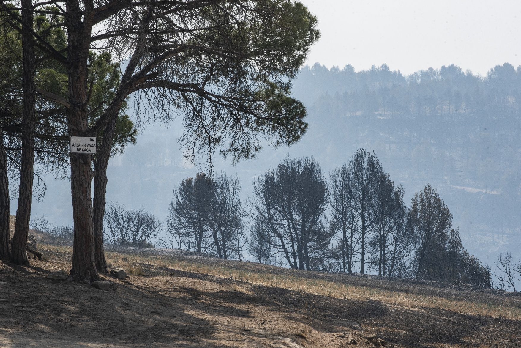 Afectació per l'incendi a la urbanització de les Brucardes