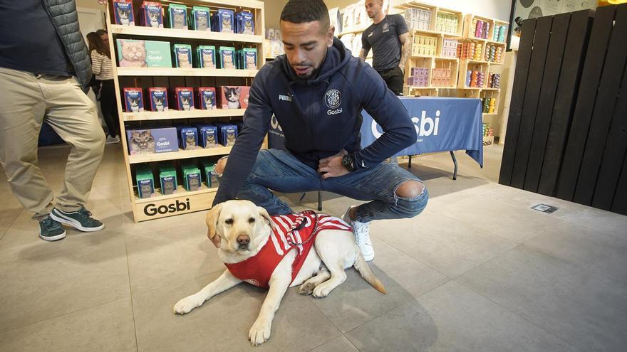 Un gos en una botiga de Gosbi en un acte amb jugadors del Girona.