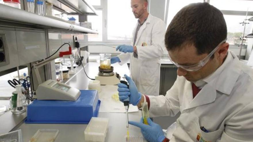 Científicos del IMIDA trabajan en el nuevo laboratorio de biotecnología.