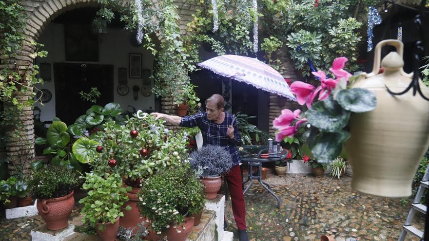 Los patios ponen al mal tiempo buena cara y abrirán desde este miércoles por Navidad