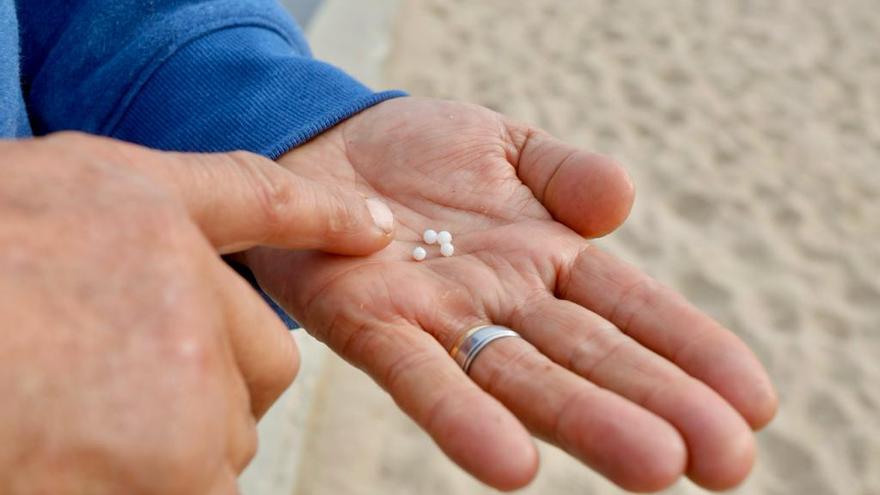 Medio Ambiente peina la playa de El Perellonet tras los pélets recogidos por un pescador