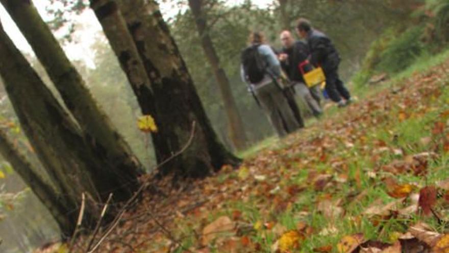 Las 100 fotos que demuestran que el otoño es la mejor época para conocer Asturias