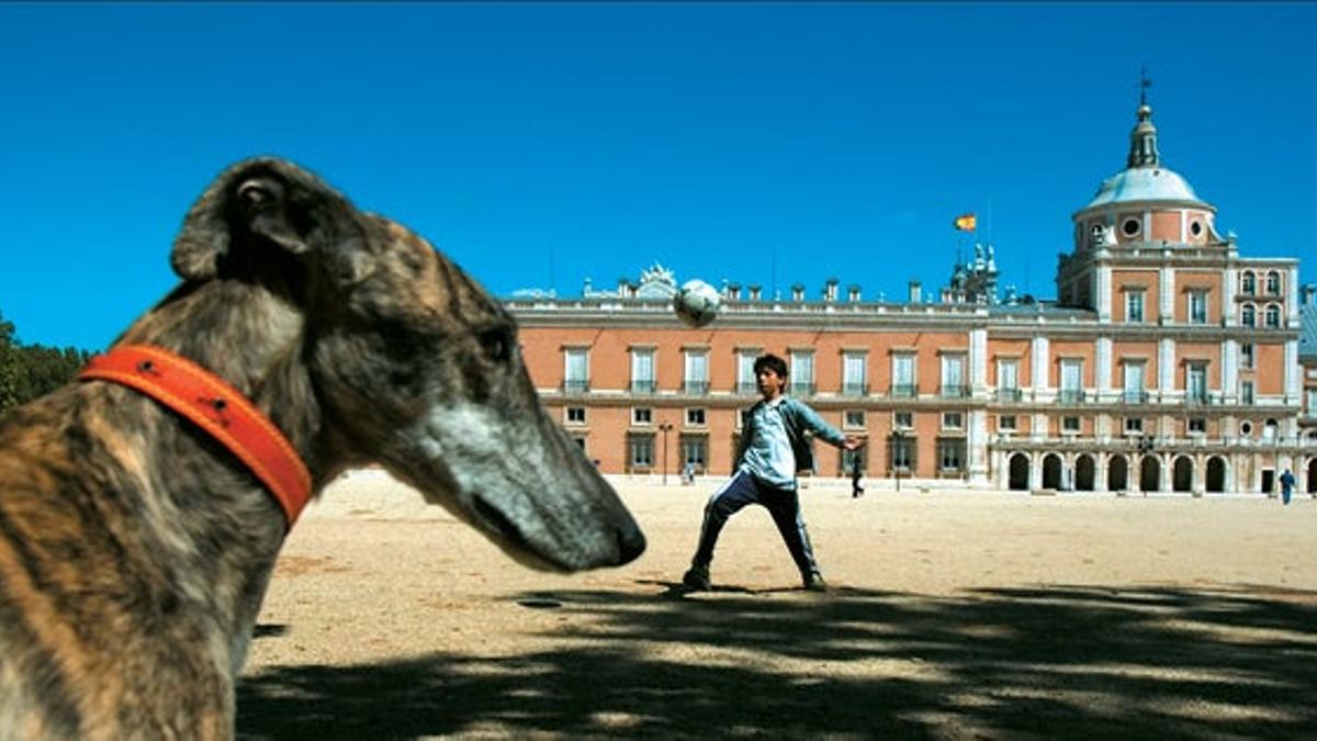 Palacio Real