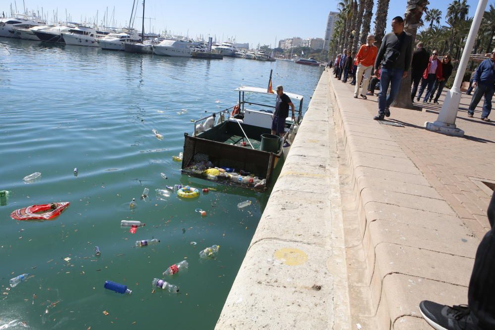 Alicante amanece disfrazada de basura