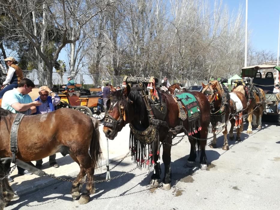 Concentración a favor del Tiro y Arrastre en Silla.