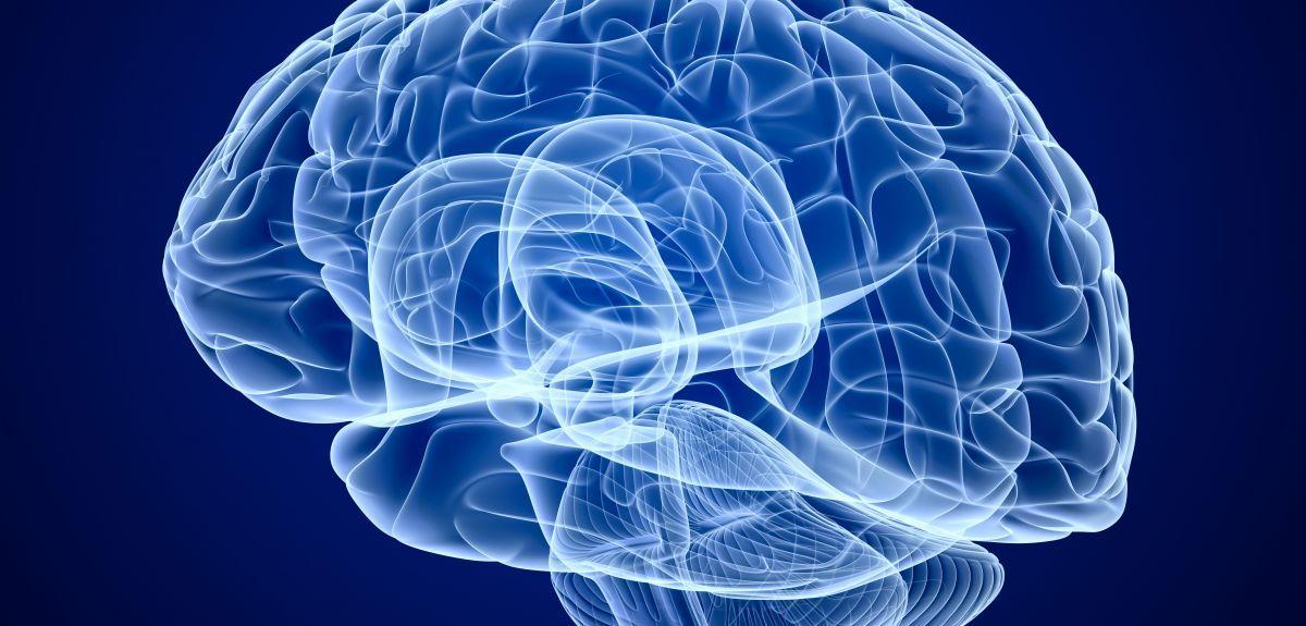 Un nuevo estudio encuentra que «algo cambia en el cerebro de quienes han sufrido COVID-19»