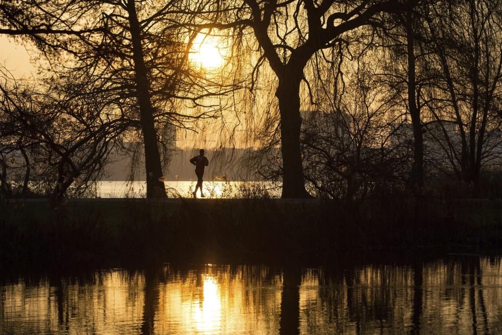 Fotografies espectaculars per acomiadar 2016