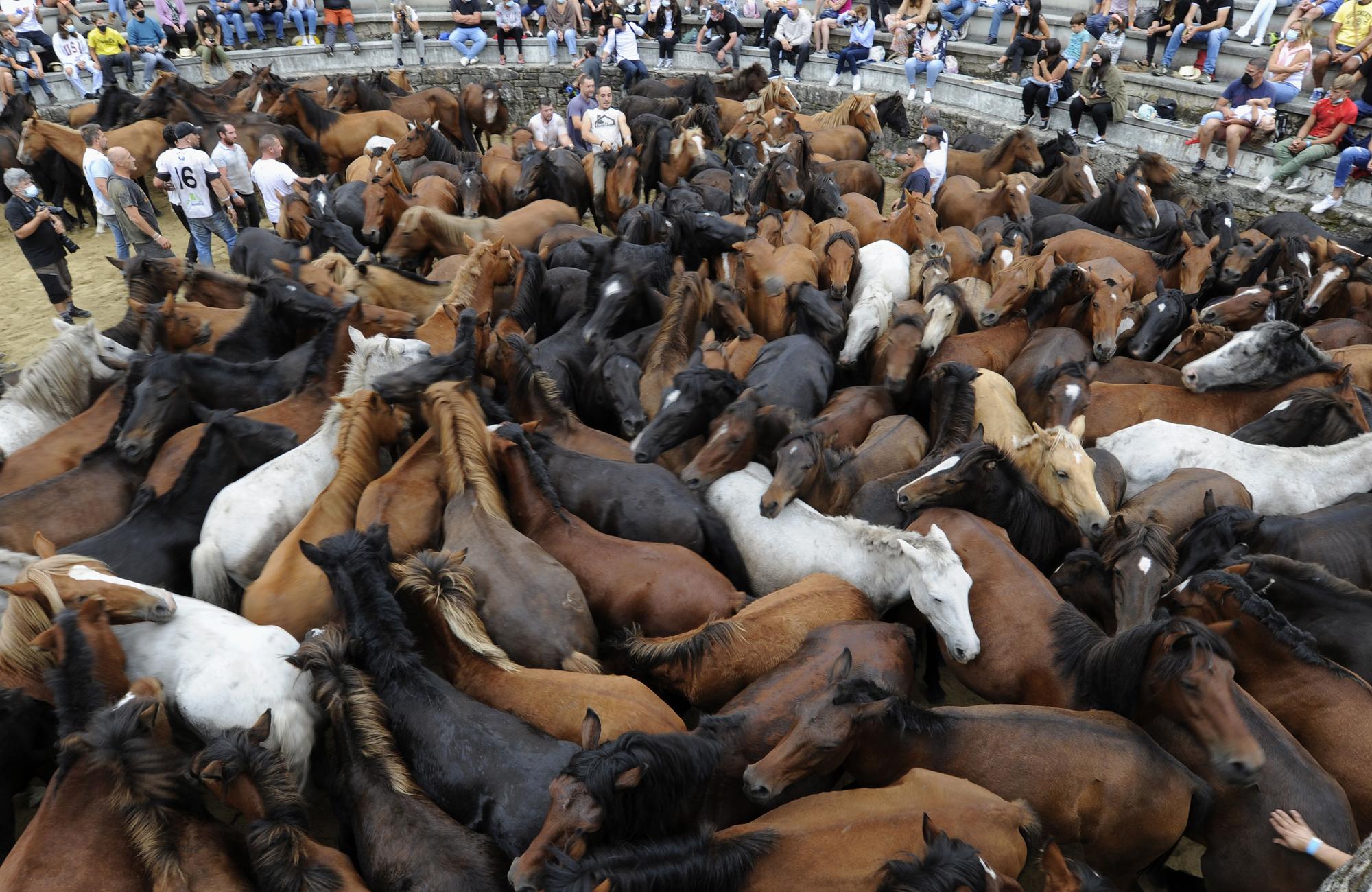 Rapa de alto voltaje en Sabucedo