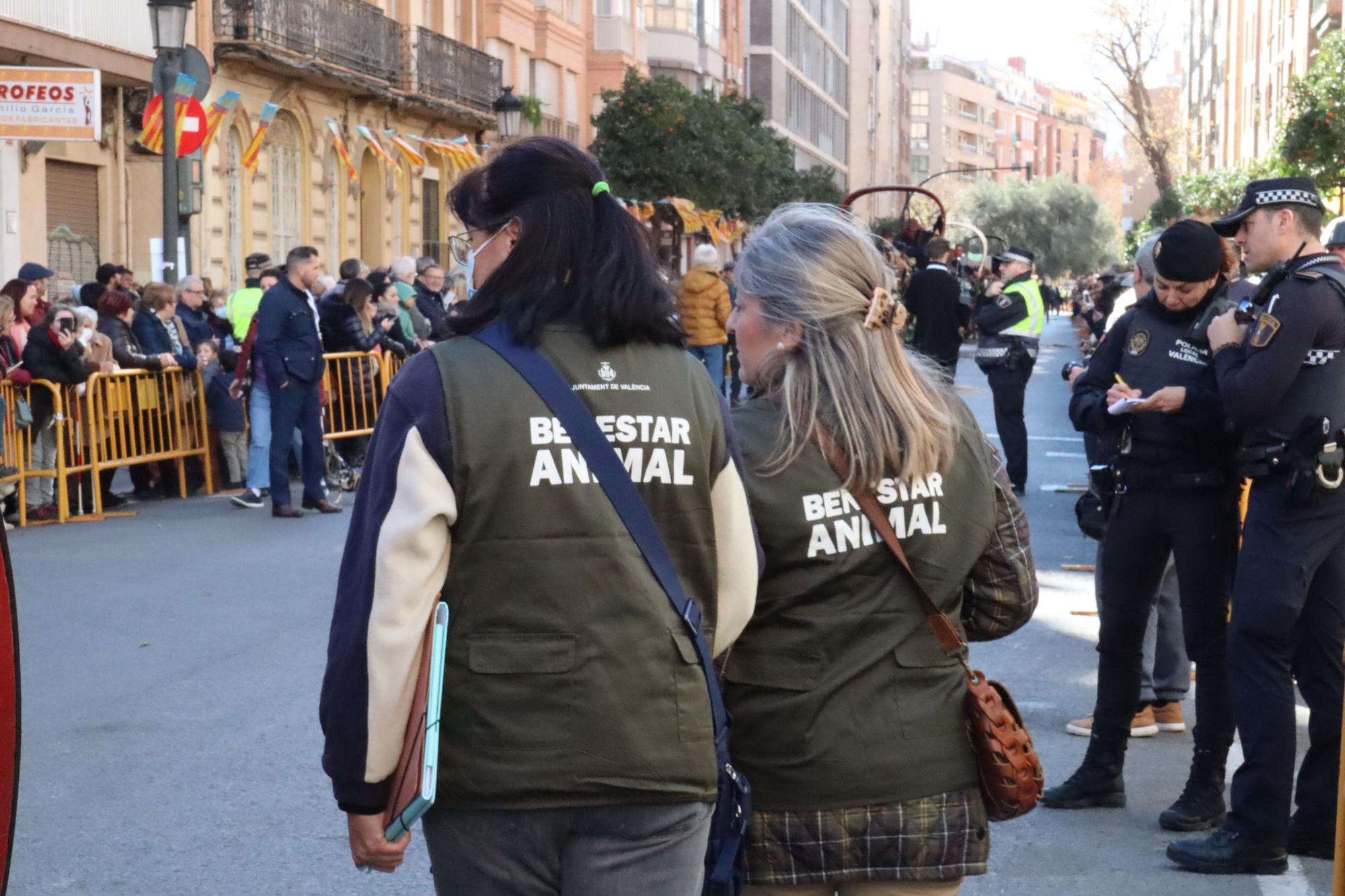 Perros policía y animales de granja completan el desfile de Sant Antoni en València