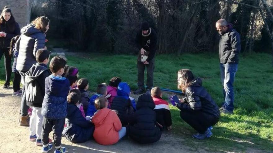 L&#039;escola Valldaura apadrina una caixa niu a la zona verda del Pont Nou