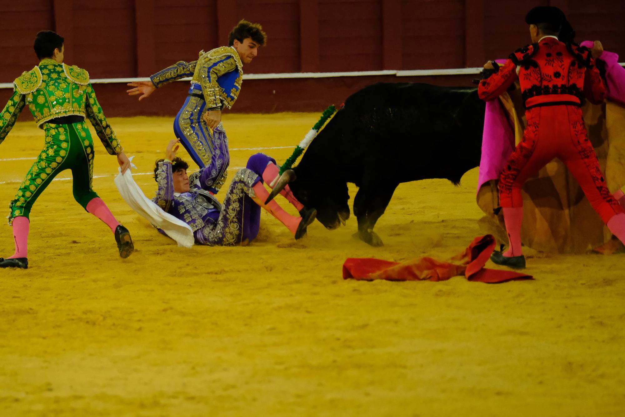 Toros en la Feria I Séptima corrida de abono en la Malagueta