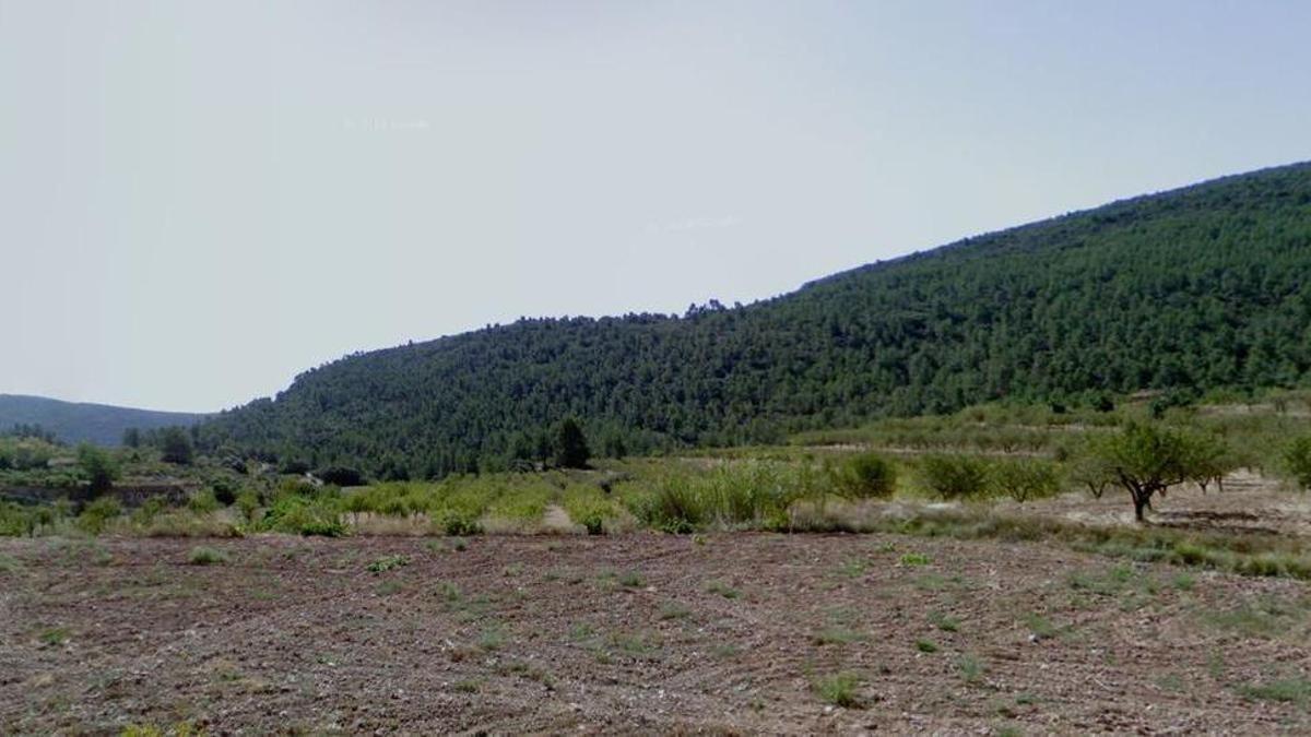 Zona de bosque en Chelva