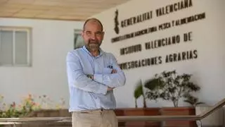 José Blasco (IVIA): «El futuro citrícola va por las variedades protegidas»