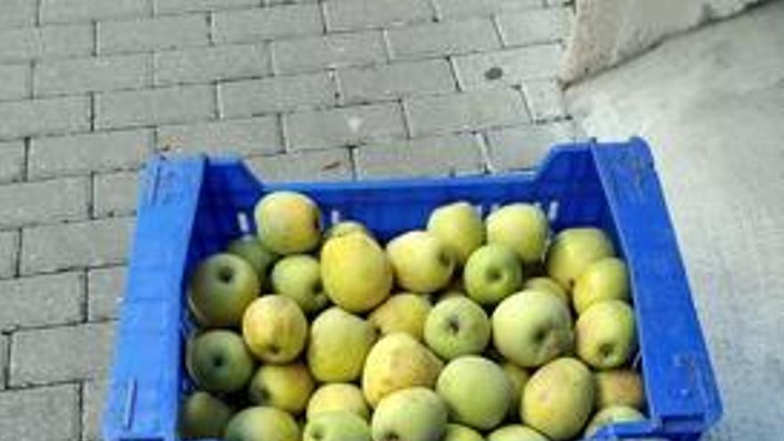 El Perelló, la fruta de la Vall d&#039;Ebo que madura abrigada con mantas