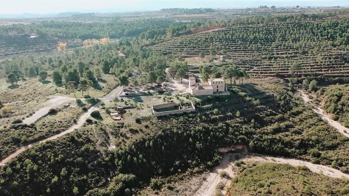 Paraje de la Heretat del Salido, donde se celebrará el Día del Árbol en l'Olleria.