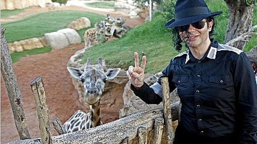 El imitador de Michael Jackson posa ante las jirafas del Bioparc, ayer.