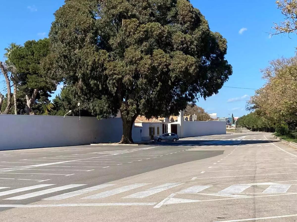 Acceso al cementerio de Torrevieja